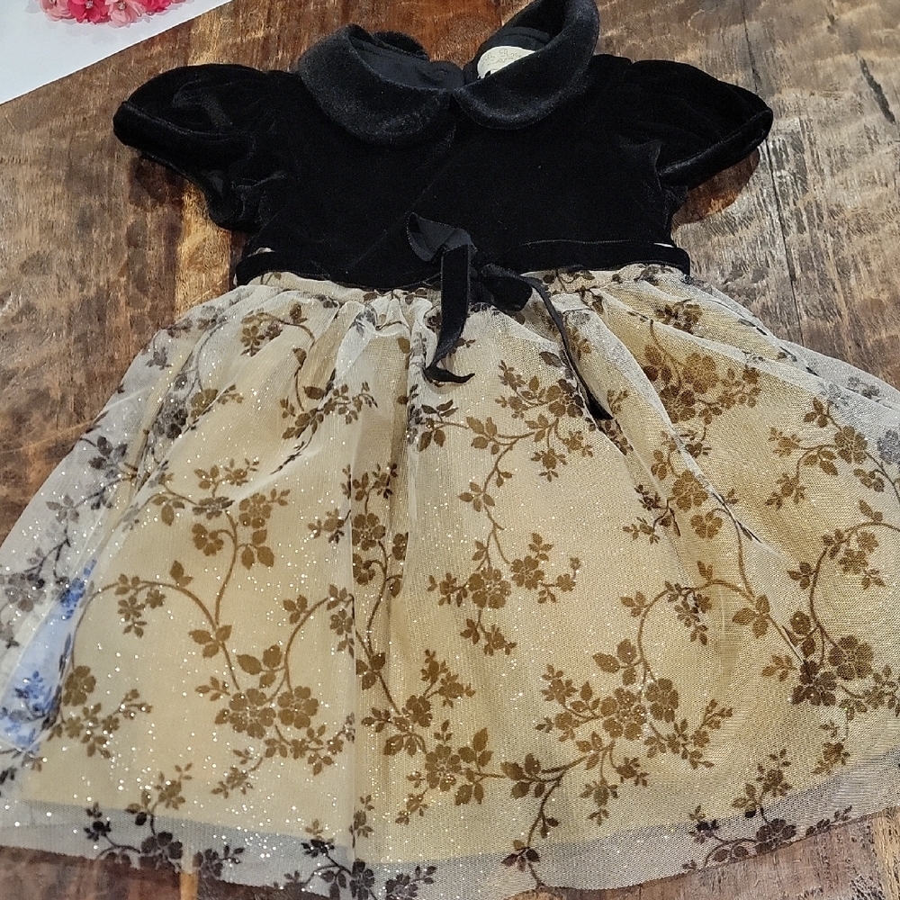 Lily Rose Black Velvet Dress